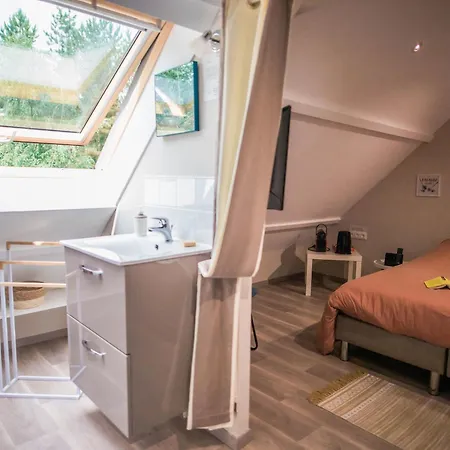 De Charme Avec Et Cheminee, Pres Du Mans, 7 Chambres, Wifi, En Bord De Foret De Vibraye