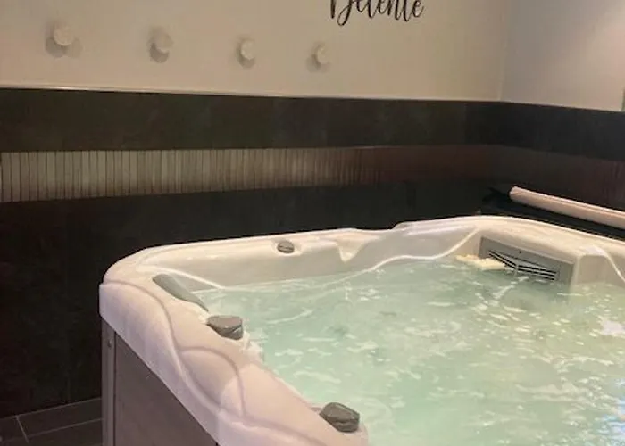 De Charme Avec Et Cheminee, Pres Du Mans, 7 Chambres, Wifi, En Bord De Foret De Vibraye - Fr-1-410-308 *